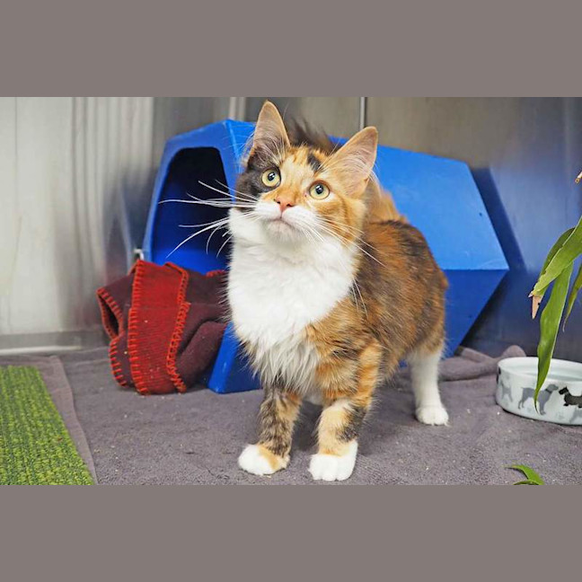 Photo of Belle