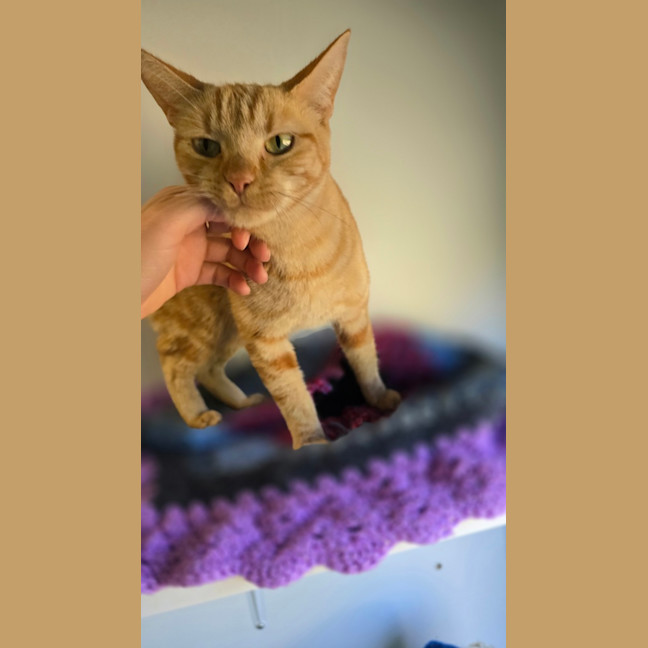 Photo of Moirai