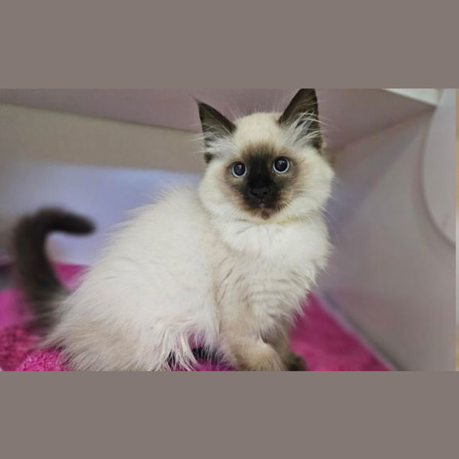 Photo of Gwendolyn