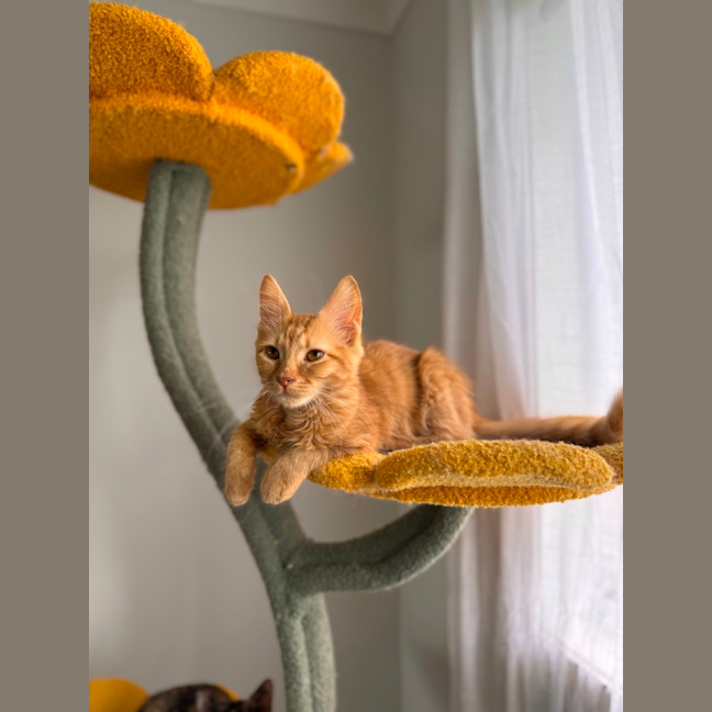 Photo of Zeus
