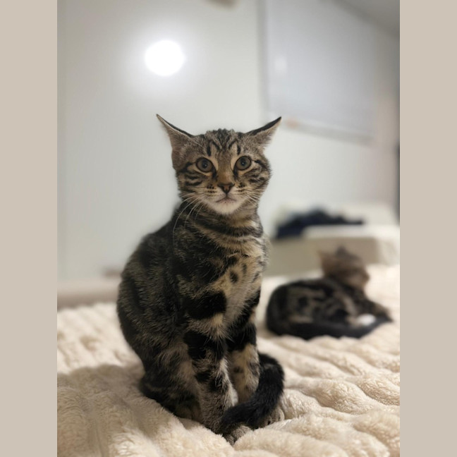 Photo of Boots