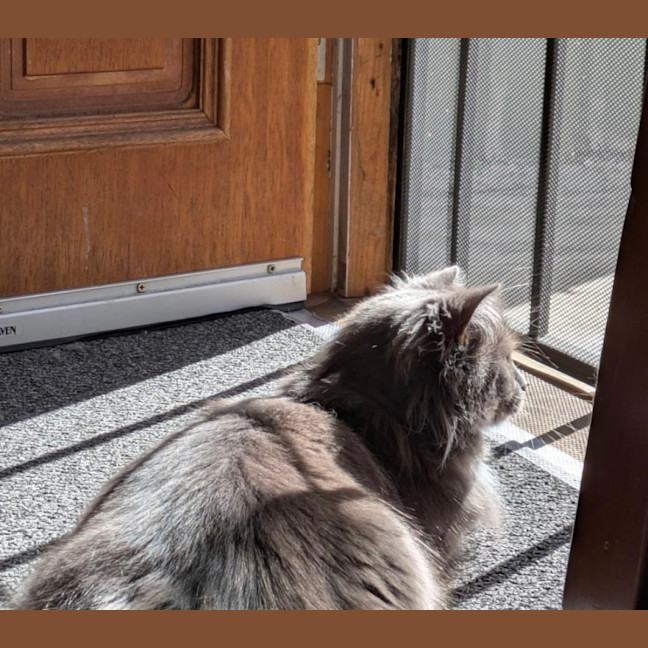 Photo of Betty 