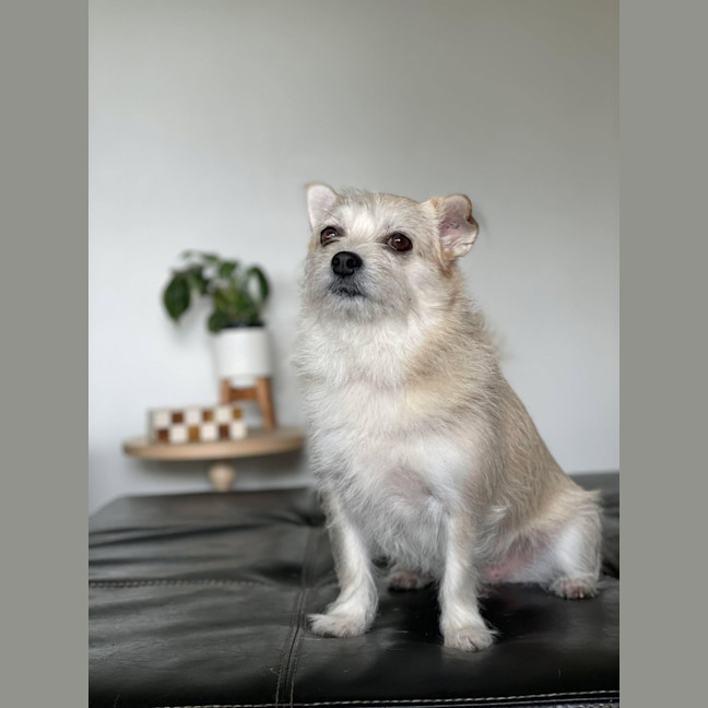 Photo of Tilly And Finn