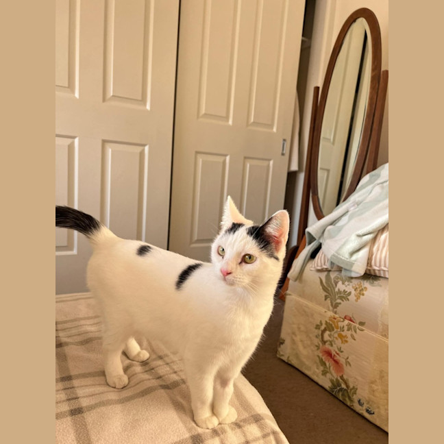 Photo of Lilly