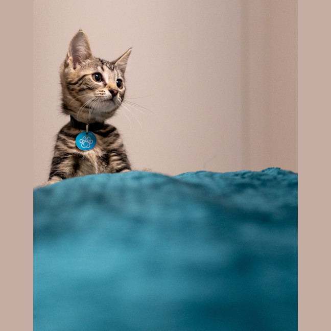 Photo of Reuben