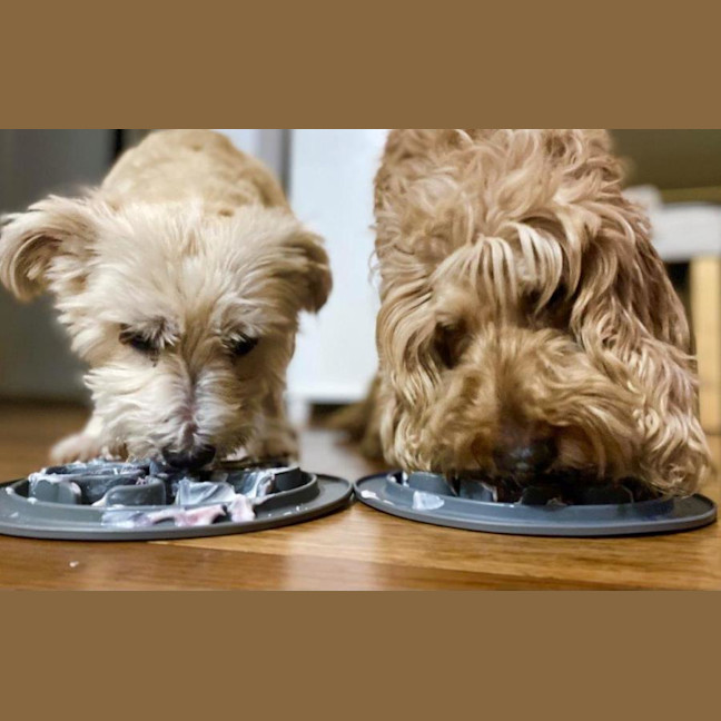 Photo of Shari Jablonski