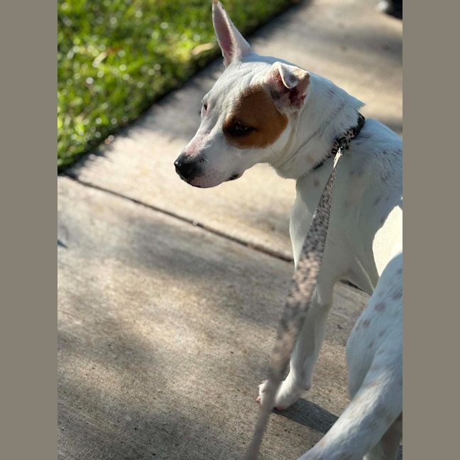 Photo of Molly
