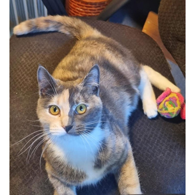 Photo of 12564   Kirsty