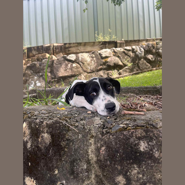Photo of Beanie