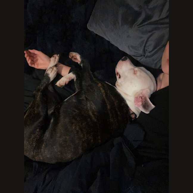 Photo of Hugo