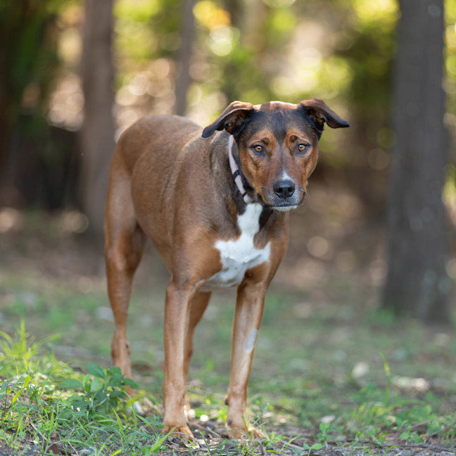 Photo of Carley