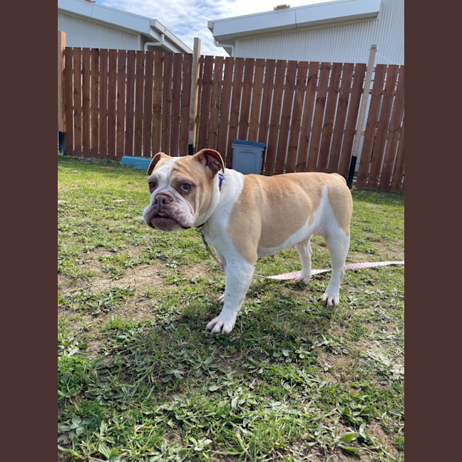 Photo of Maya 