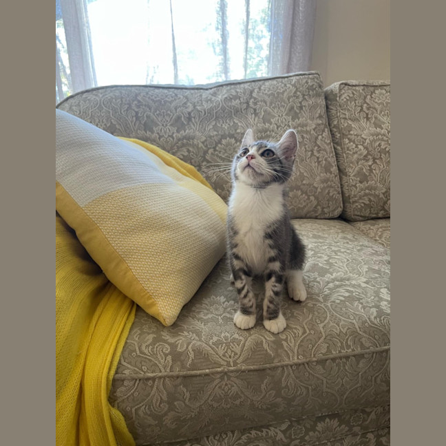 Photo of Eunice & Blanche 