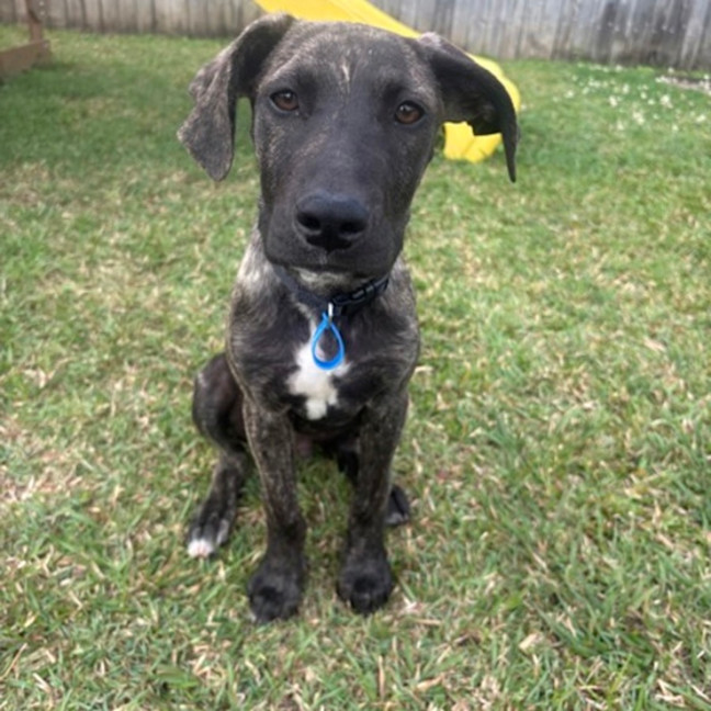 Photo of Thor