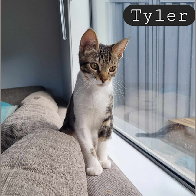 Photo of Tyler