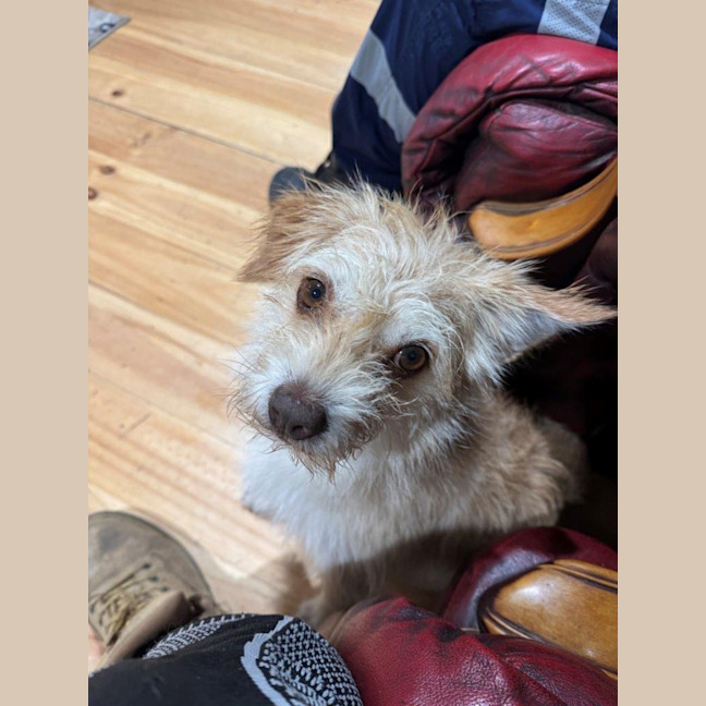 Photo of Buster Bulleau