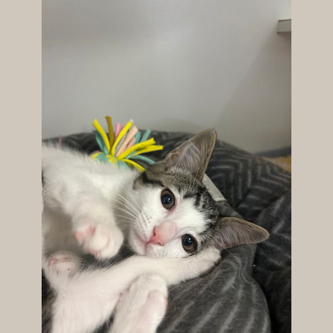 Photo of Cindy
