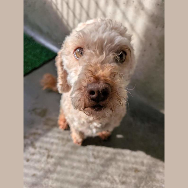 Photo of Pablo