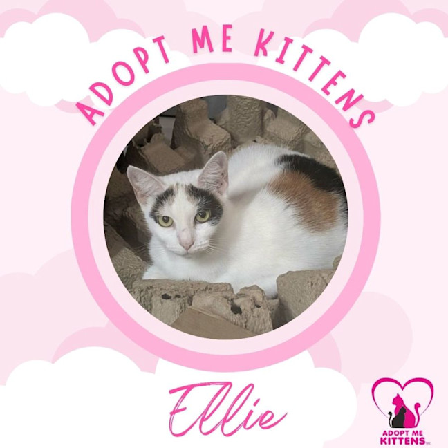 Photo of Ellie