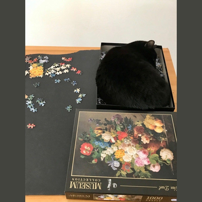 Photo of Nuzzlington