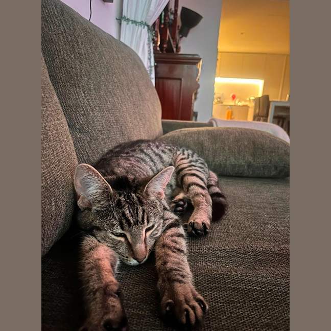 Photo of Rosie