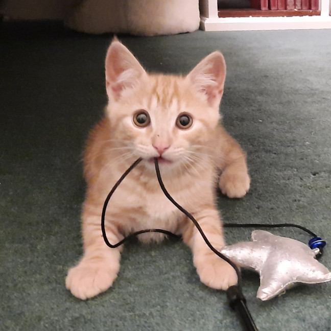 Photo of Jackson & Malakai   Located In Albert Park