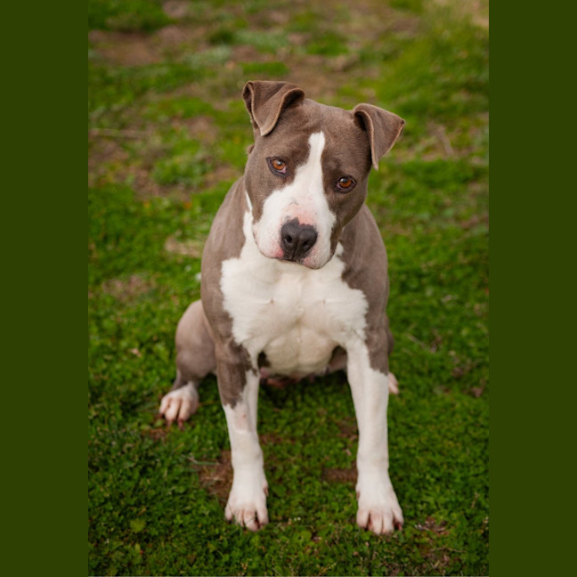 Photo of Zena