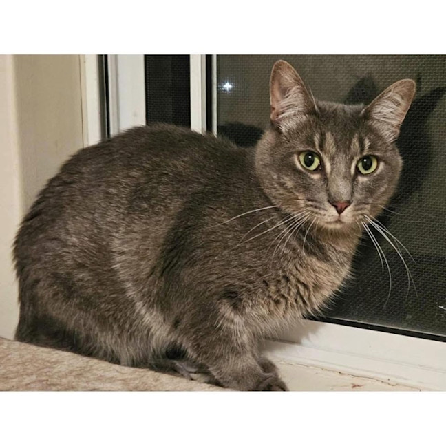 Photo of 11815   Jimmy