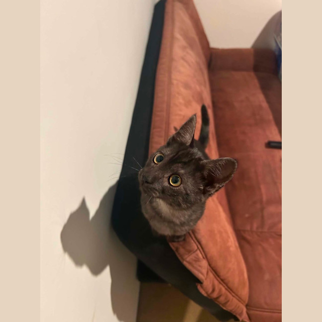 Photo of Velma