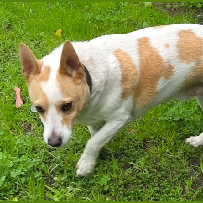 Photo of Charlie