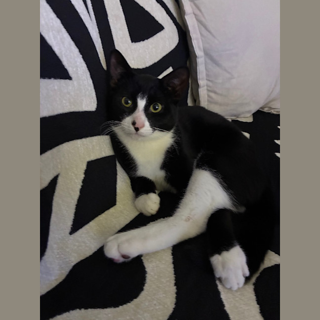 Photo of Dozy