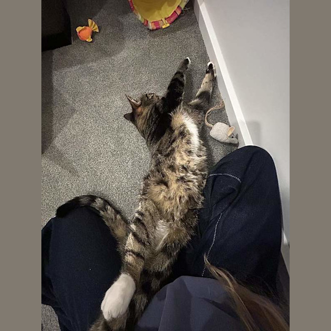 Photo of Thor
