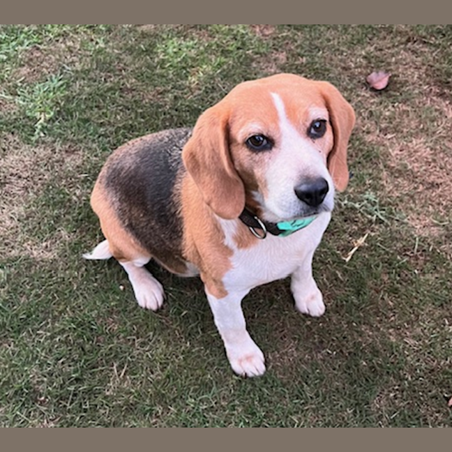Photo of Lulu
