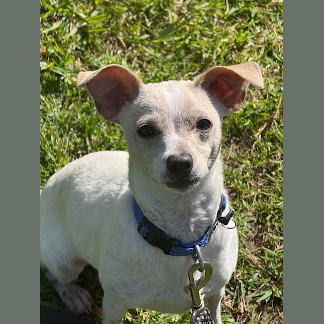 Photo of Coco