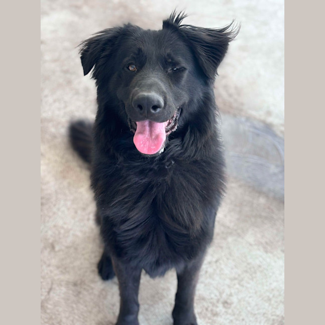 Photo of Jagger Imp 1613