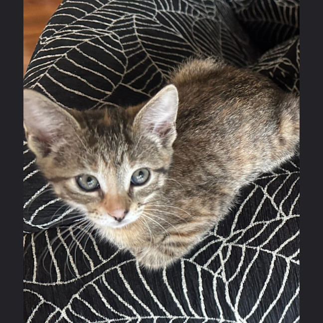 Photo of Susan