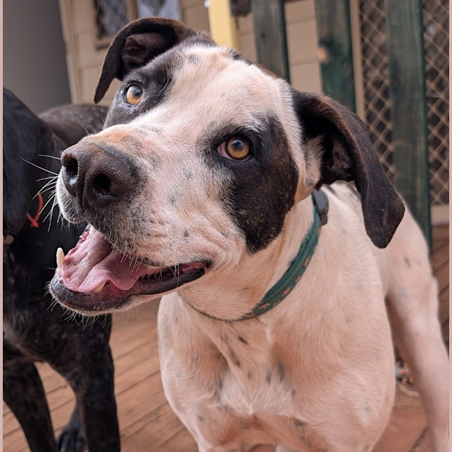 Photo of Chunk