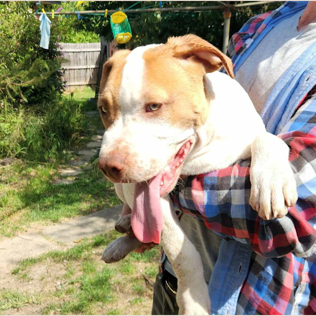 Photo of Bert & Ernie