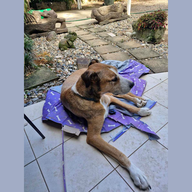 Photo of Bruce