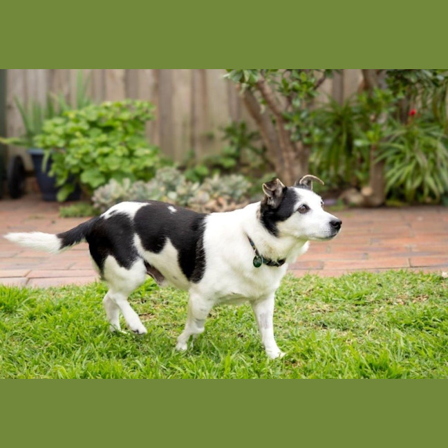 Photo of Laurie Jablonski