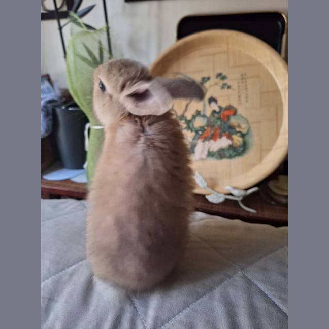 Photo of Lexi