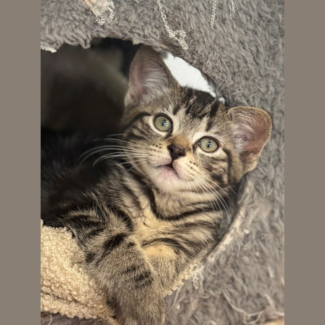 Photo of Huck
