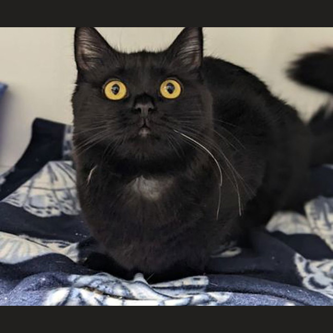 Photo of Elvira