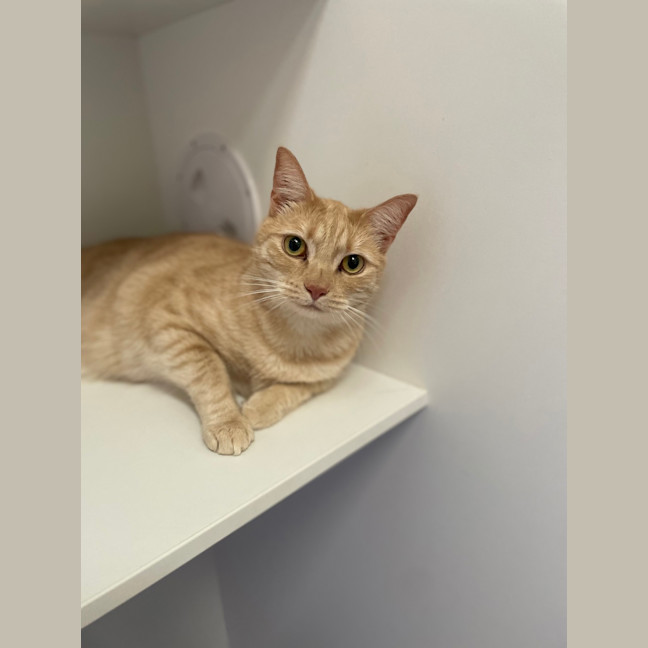 Photo of Jasper