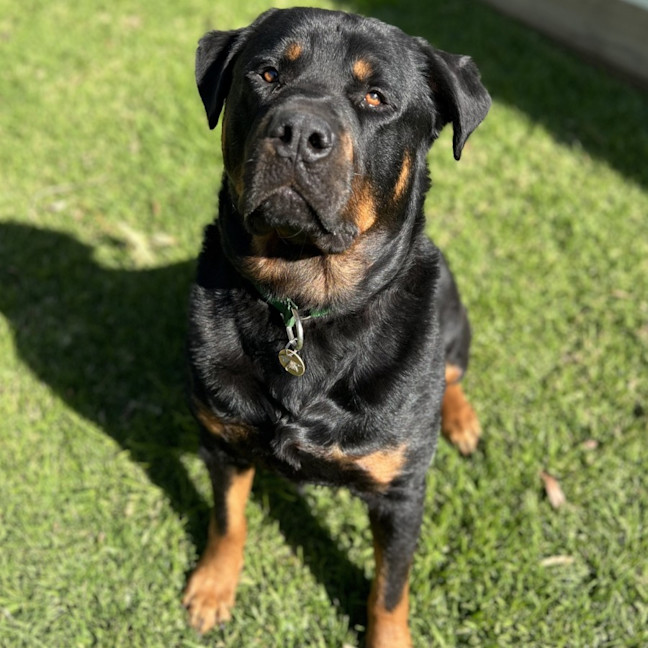 Photo of Axel
