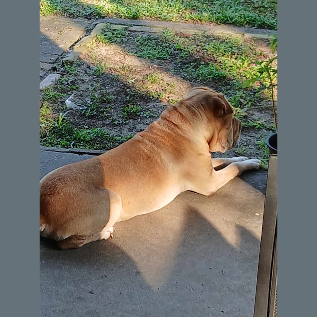 Photo of Fozzie Bear