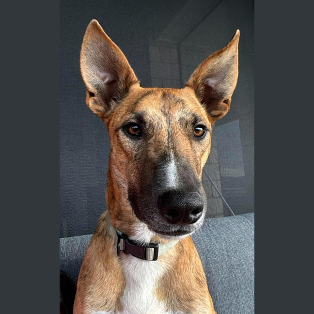 Photo of Jack