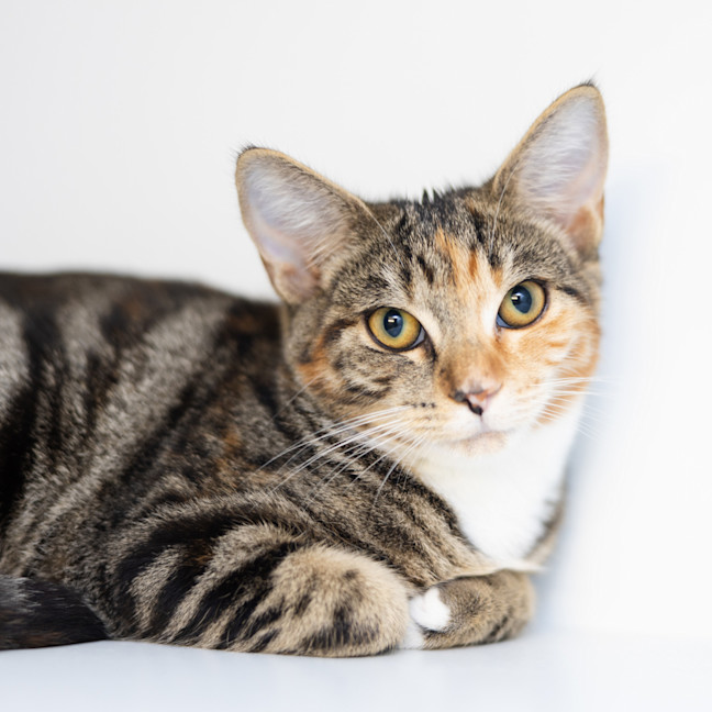 Photo of Sprout