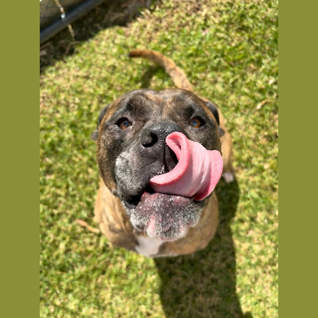 Photo of Cash