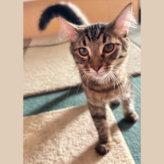 Photo of Elijah